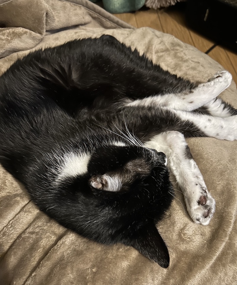 多種多様に溜まるわけです。