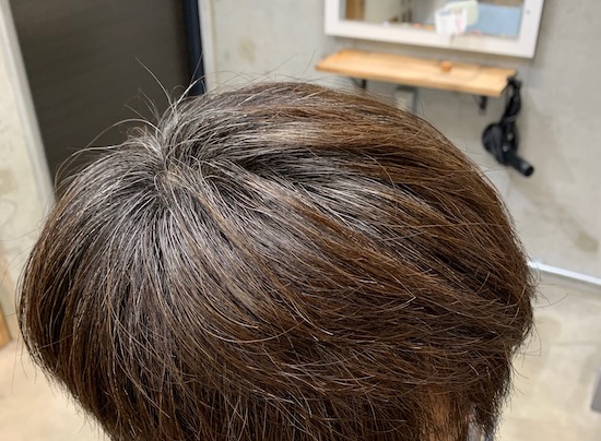 グレーヘアーを目指すことにした。