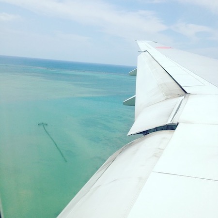 うりずんを満喫する。