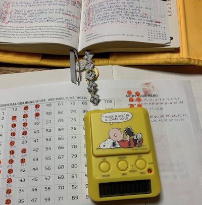 Essential Grammar in Use 2周目 17 Unit分。