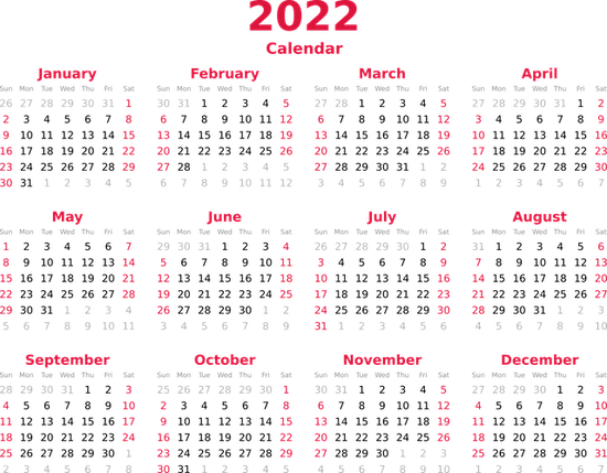 2022年が半分終わる…！