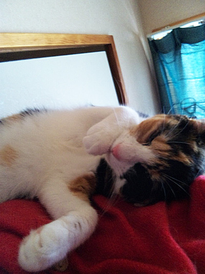 ちゅぱちゅぱ。