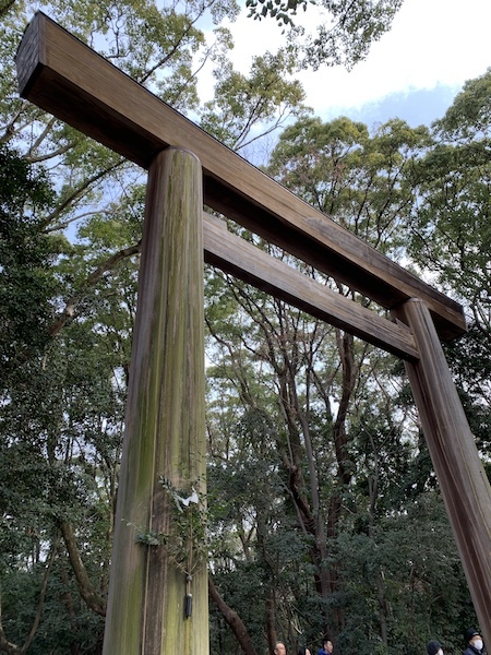 続・ことりっぷ@名古屋