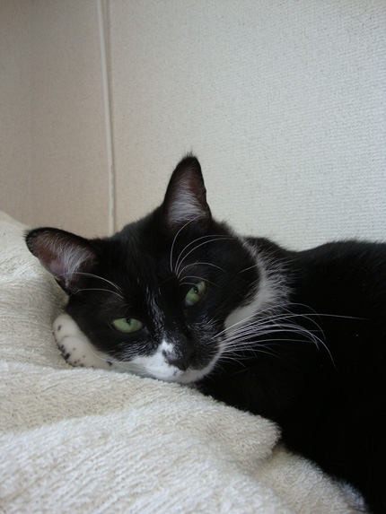 オレの居場所ある？