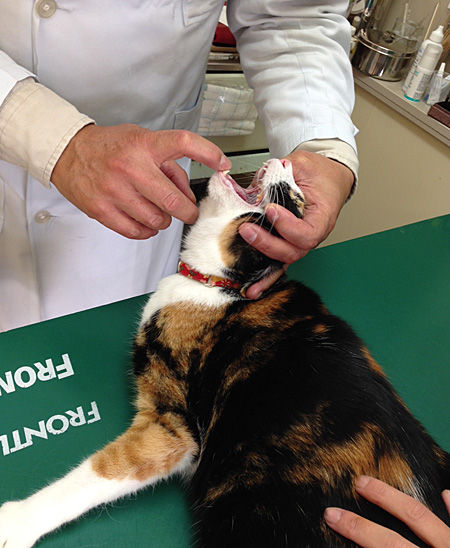 されるがまま。