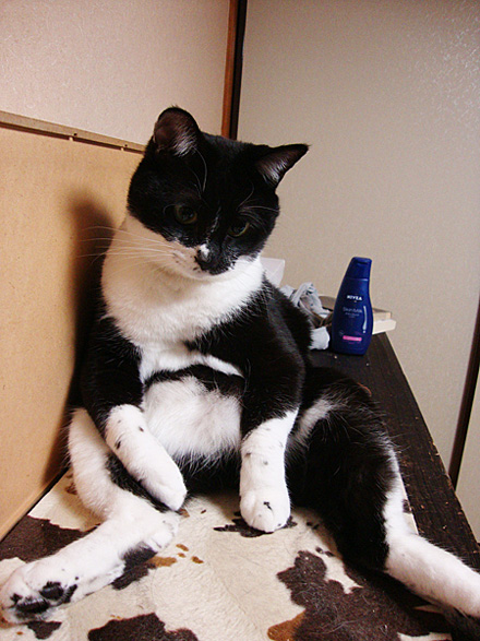 おっさんがひとり。