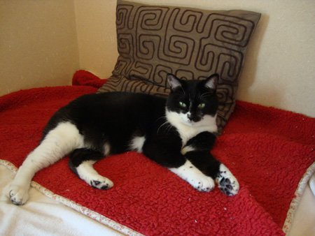 優雅に決めちゃうよ。