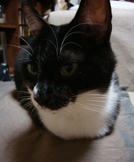 祝・よんちゃい!!