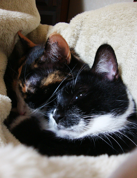 まださむいよ。