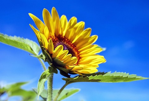 そうか、もう8月なんだね